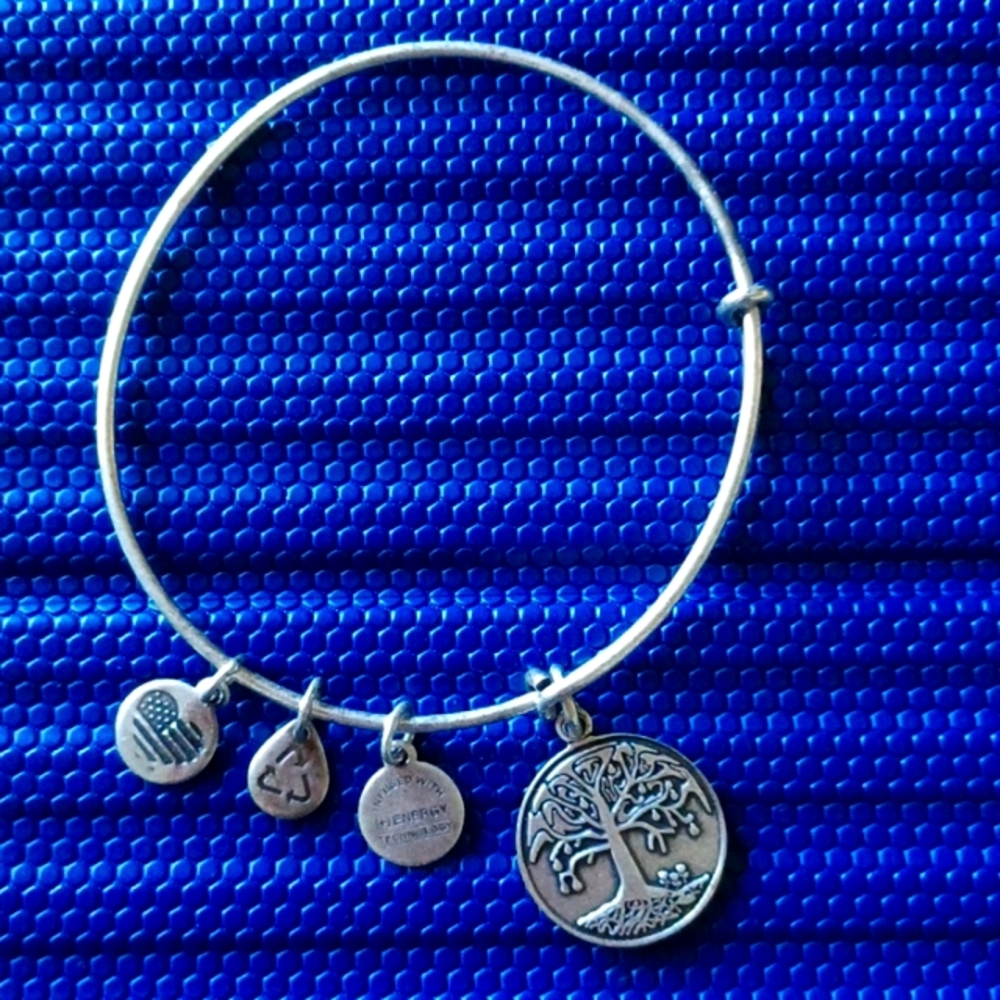 Alex and Ani Tree of Life Dilver tone bracelet 2015